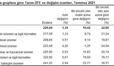 Tarım ürünleri üretici fiyat endeksi (Tarım-ÜFE) yıllık %22,80, aylık %1,34 arttı