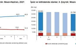 İşgücü İstatistikleri, II. Çeyrek: Nisan – Haziran, 2021