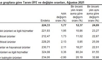 Tarım ürünleri üretici fiyat endeksi (Tarım-ÜFE) yıllık %24,69, aylık %1,77 arttı