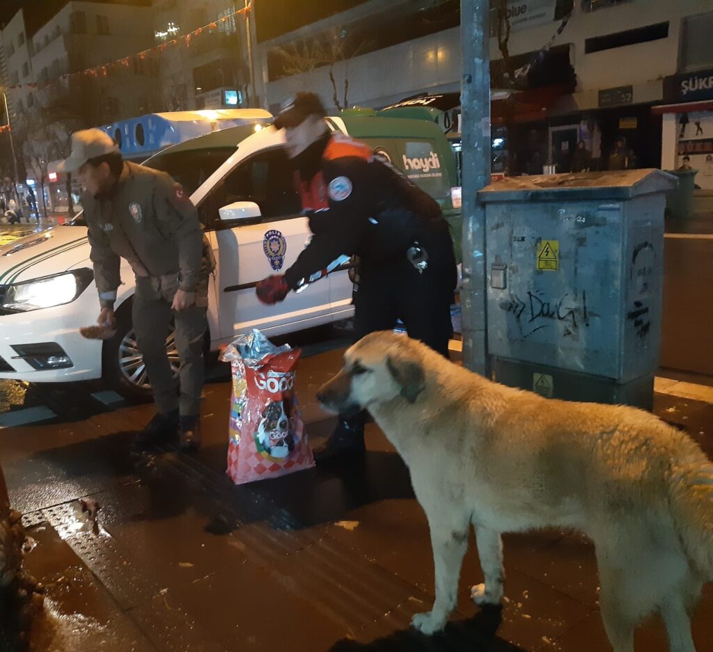 Uşak HAYDİ` Polisleri Sokak Hayvanlarını Besledi - 01f3fdb2 8bd8 4b6d b4d0 2bedd1ebd6f8 1