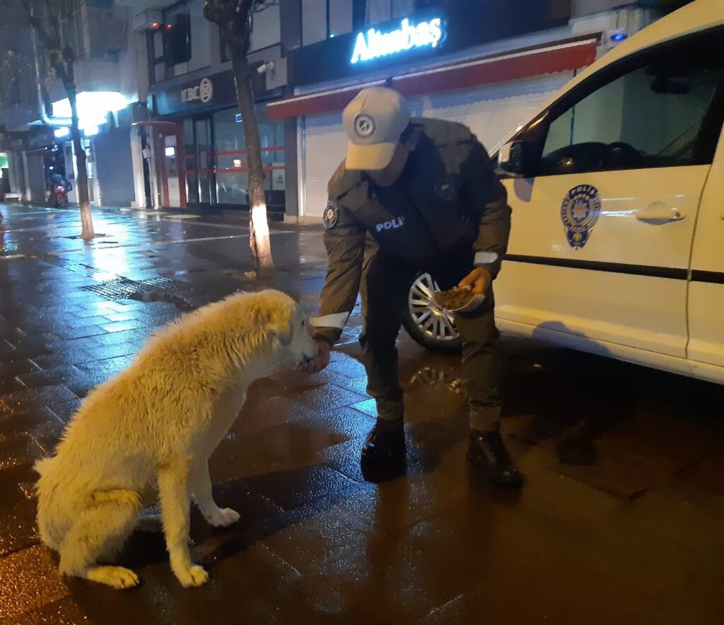 Uşak HAYDİ` Polisleri Sokak Hayvanlarını Besledi - 2c99b66d f205 463c 9079 727abe916229 1