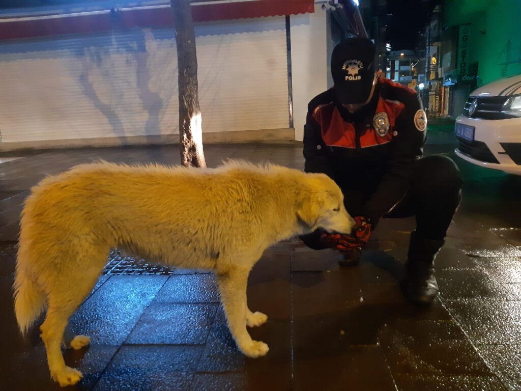 Uşak HAYDİ` Polisleri Sokak Hayvanlarını Besledi - 5be0d27a 12d5 493f bcbe f9366b820285 1