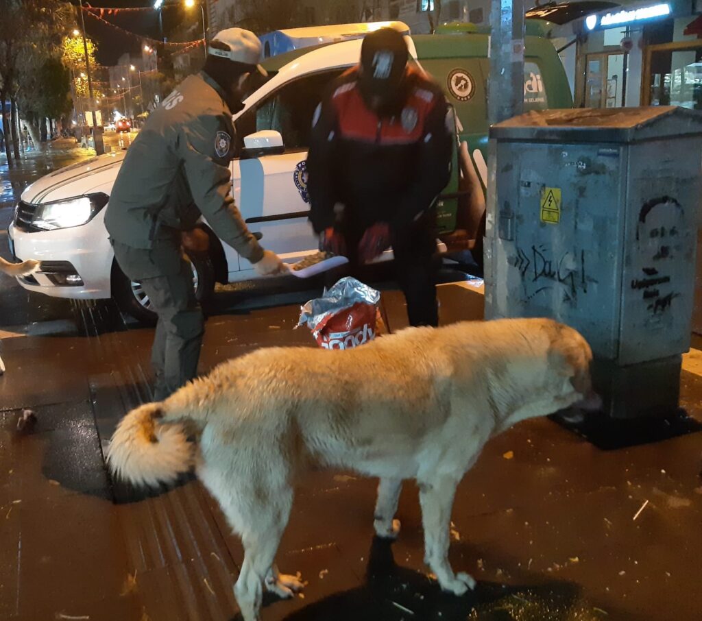 Uşak HAYDİ` Polisleri Sokak Hayvanlarını Besledi - a143f02f 2308 409b be78 aca84b48d798 1