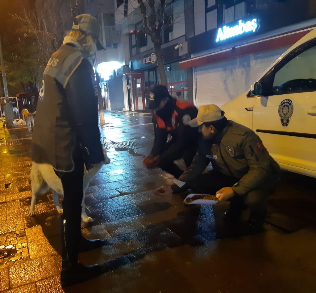 Uşak HAYDİ` Polisleri Sokak Hayvanlarını Besledi - ac94d880 66eb 4e2e a688 7d772fd8f8e0 1