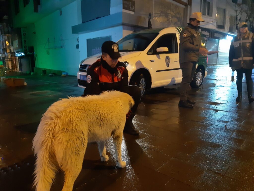 Uşak HAYDİ` Polisleri Sokak Hayvanlarını Besledi - bb7dbf7c fc0b 40a3 bd12 c1ef85773585 1