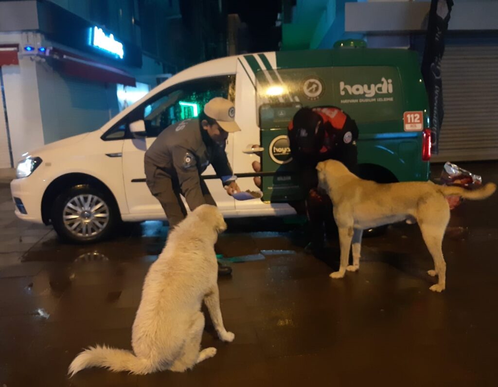 Uşak HAYDİ` Polisleri Sokak Hayvanlarını Besledi - dccd9a55 f7e9 49fe be2e 6fbf0ab3161b 1
