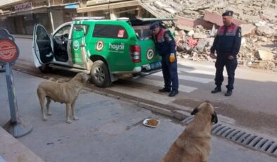 Jandarma Ekiplerince Deprem Bölgesindeki Hayvanlara Mama Desteği
