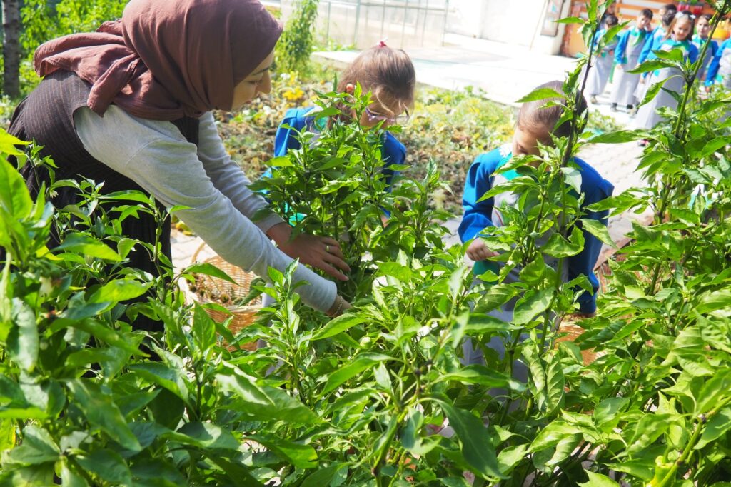 Uşak Banaz Halk Kütüphanesi, Yeşil Kütüphane Projeleri Kapsamında Dünya Çapında İlk 5’e Girdi - 1agro 2