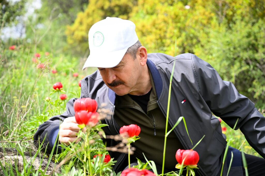 Vali Dr. Turan Ergün İtecik Tepesi’nde İncelemelerde Bulundu - 1itecik1