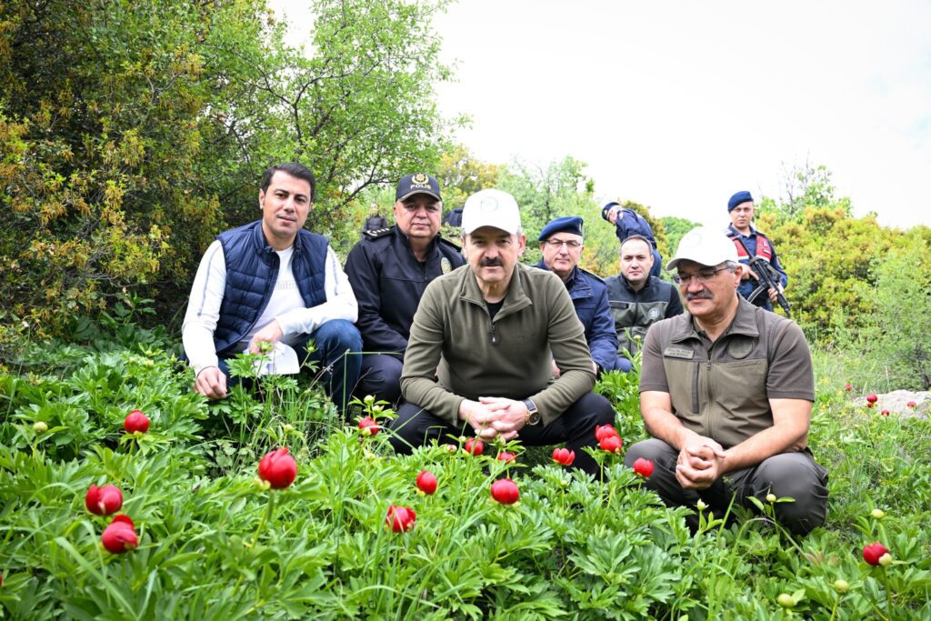 Vali Dr. Turan Ergün İtecik Tepesi’nde İncelemelerde Bulundu - 1itecik3