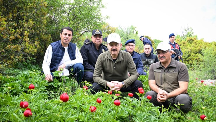 Vali Dr. Turan Ergün İtecik Tepesi’nde İncelemelerde Bulundu