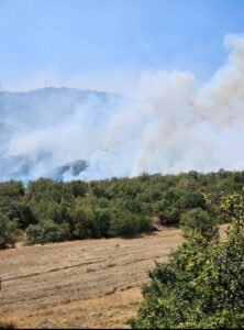 Uşak Eşme İlçesi’nde Orman Yangını - usak esme ilcesi8217nde orman yangini