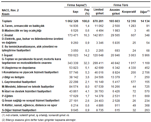 En fazla firma toptan ve perakende ticaret; motorlu kara taşıtlarının ve motosikletlerin onarımı sektöründe yer aldı