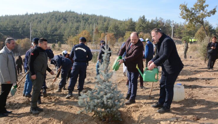 Tuprag Madencilik’ten Doğaya Destek: Kışladağ Altın Madeni’nden Fidan Dikim Etkinliği