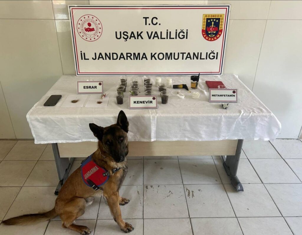 Uşak’ta Jandarma’dan Uyuşturucuya Yönelik Kararlı Mücadele: 4 Tutuklama 3 Uşak’ta Jandarma’dan Uyuşturucuya Yönelik Kararlı Mücadele: 4 Tutuklama - caeab0d6 8996 46ef 92d0 bd3fa24bf8ce