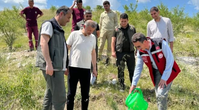 GAZZE İÇİN UMUT FİDANLARI TOPRAKLA BULUŞTU: MEMUR-SEN VE EĞİTİME DESTEK PLATFORMU’NDAN ANLAMLI ETKİNLİK
