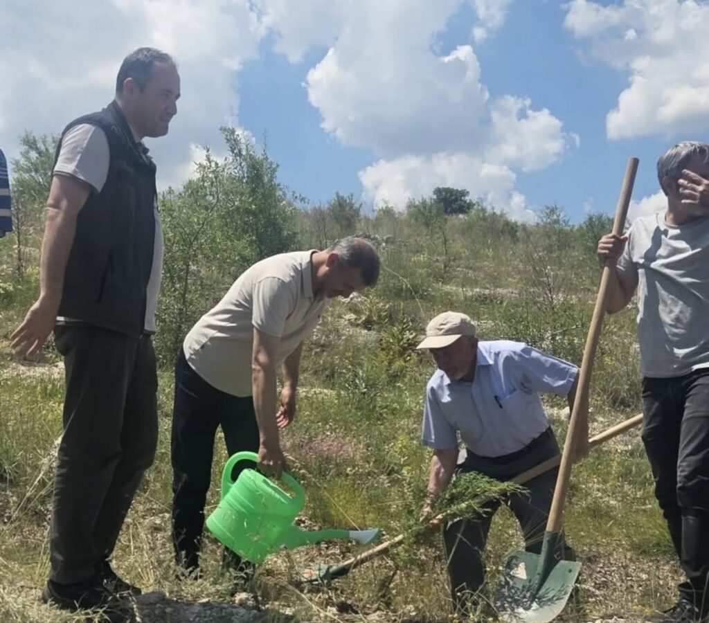GAZZE İÇİN UMUT FİDANLARI TOPRAKLA BULUŞTU: MEMUR-SEN VE EĞİTİME DESTEK PLATFORMU'NDAN ANLAMLI ETKİNLİK - 4
