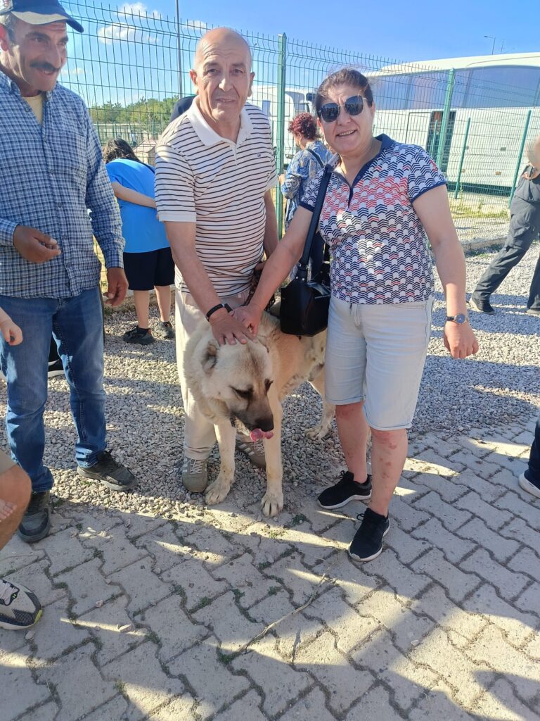 TGK Heyeti Kangal'ın Turizm ve Kültürel Mirasını Yerinde İnceledi - 1 4